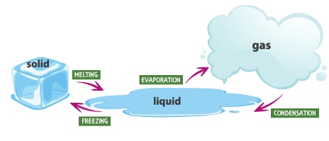water cycle, transpiration, evaporation, condensation, conservation of water, drought, floods, rainwater harvesting, water, NCERT science class 6